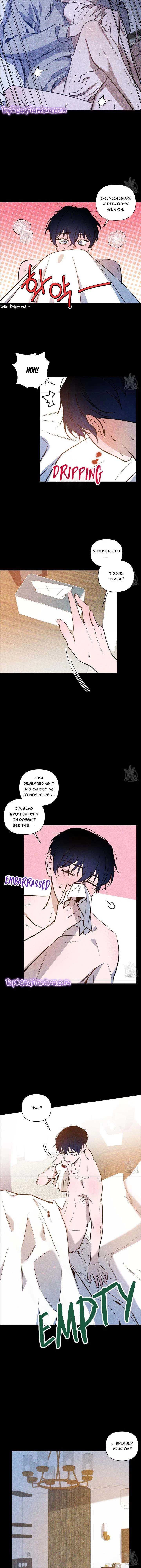 Dawn After Darkness Chapter 12, page 6