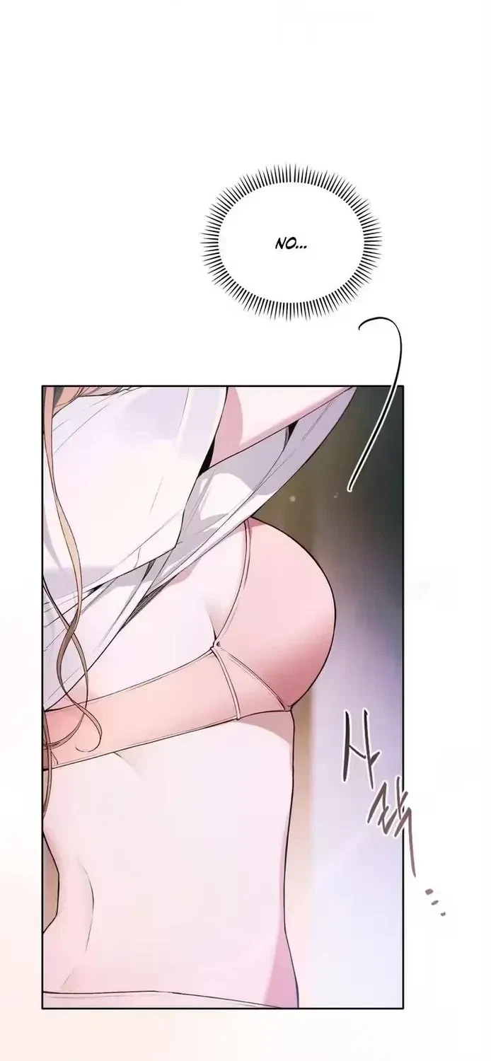Chapter 1.1, page 49