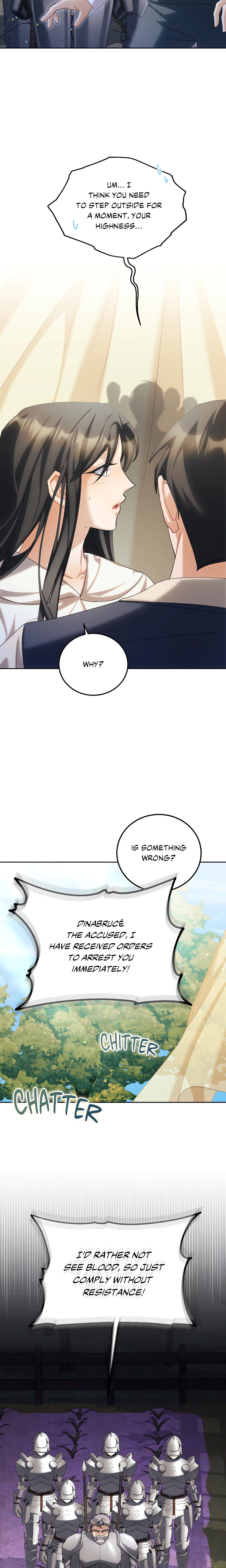 Chapter 21, page 15