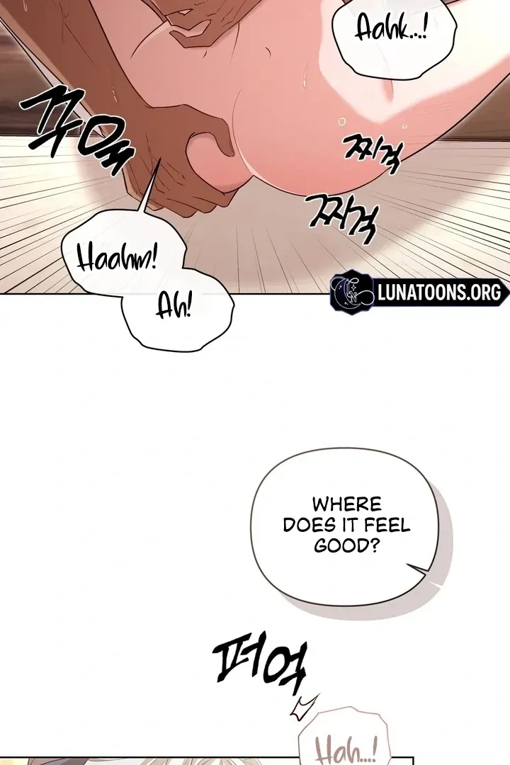 Chapter 4, page 16