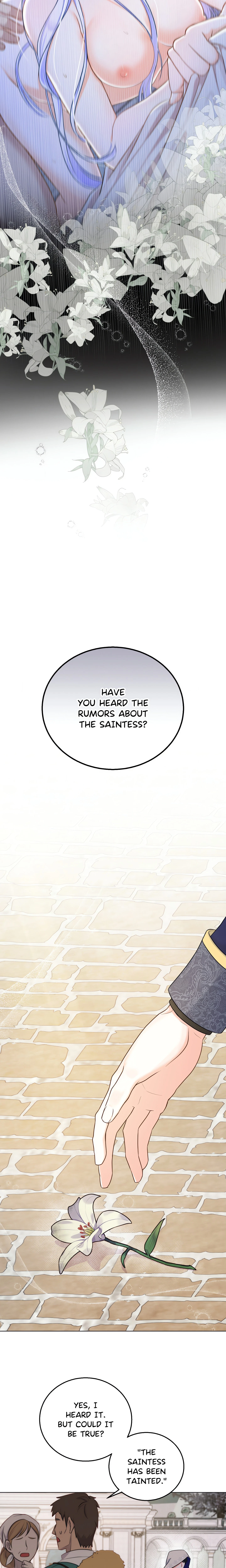 Chapter 1, page 26