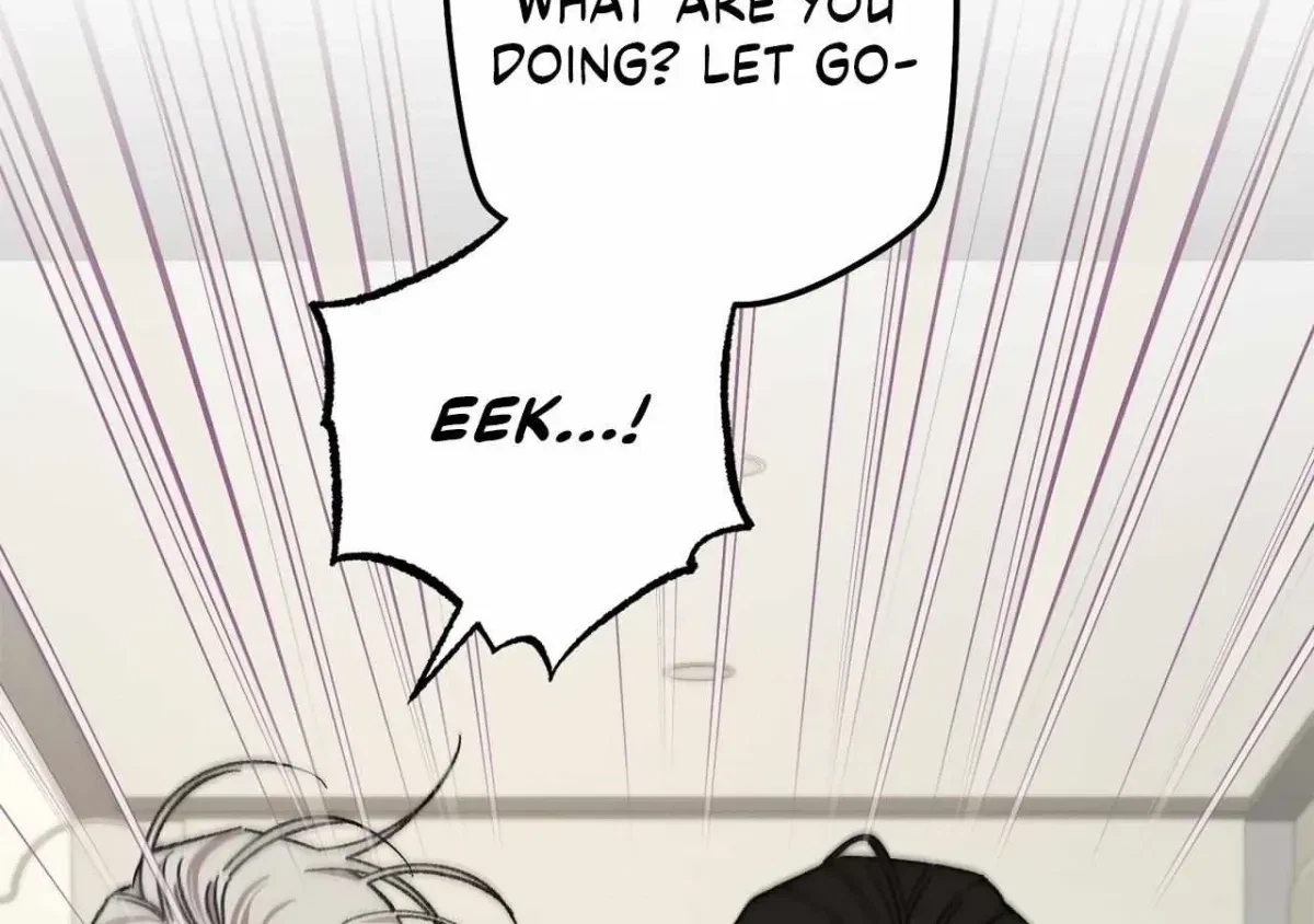Chapter 1.1, page 6
