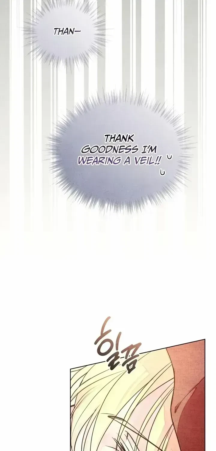 Chapter 2.4, page 60