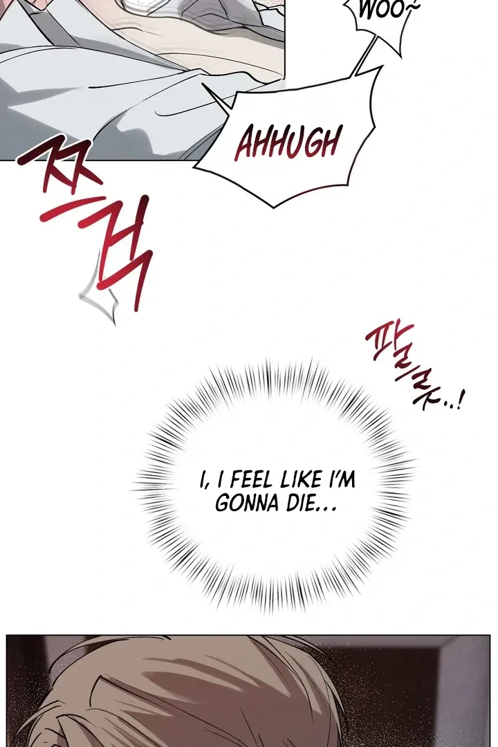 Chapter 2, page 47