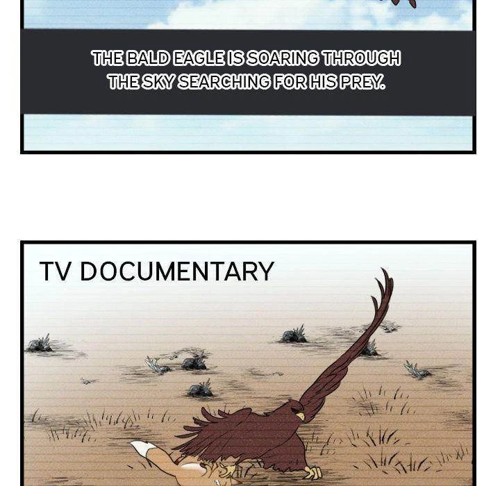 Chapter 3, page 47