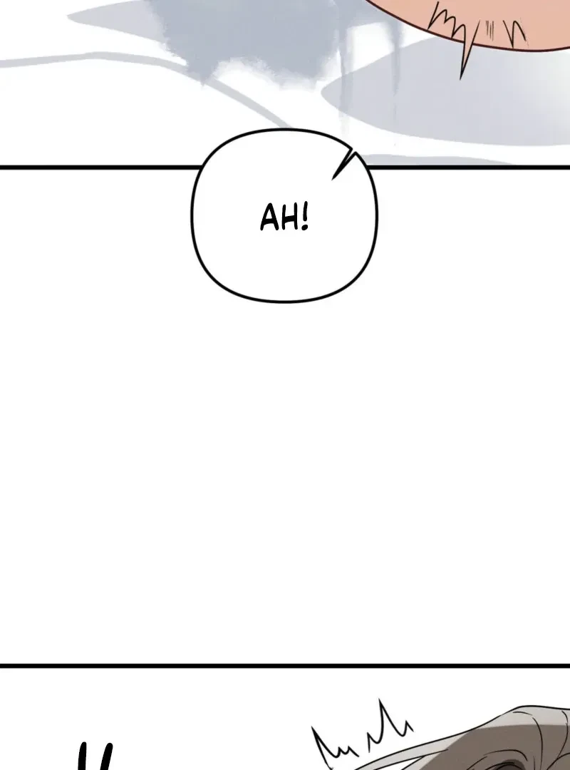 Chapter 2, page 74