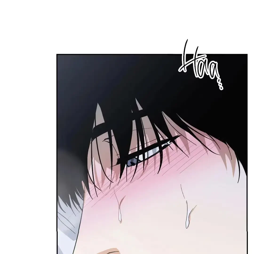 Chapter 12, page 5