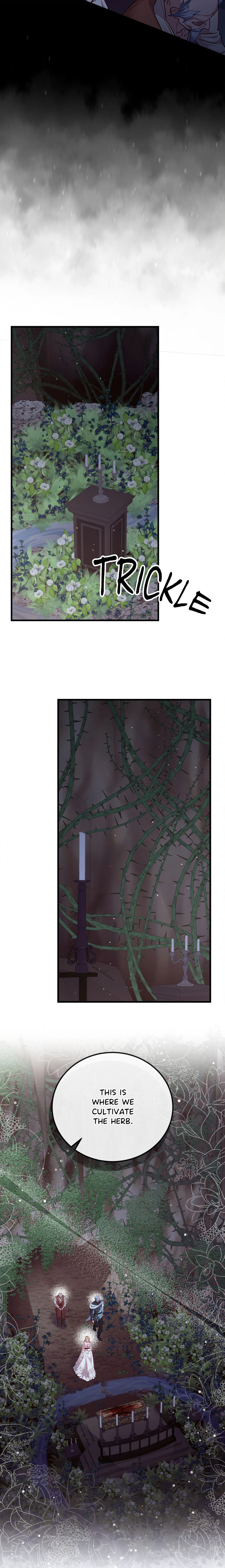 Chapter 53, page 15