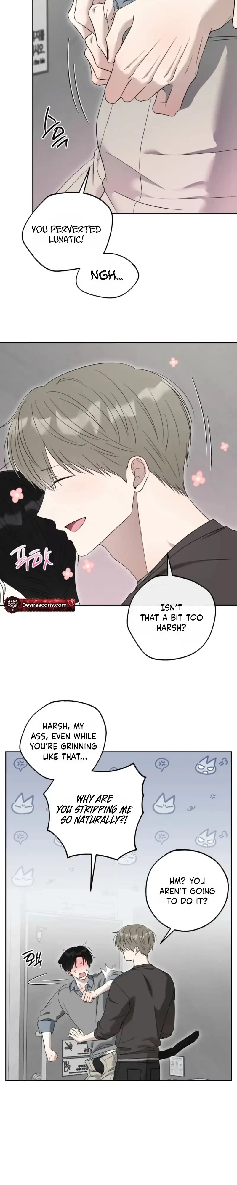 Chapter 41, page 12