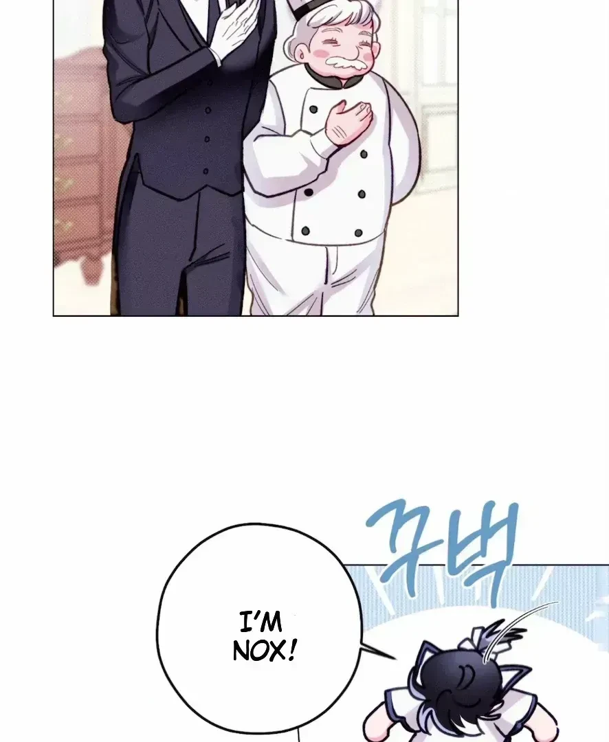 Chapter 3.6, page 65