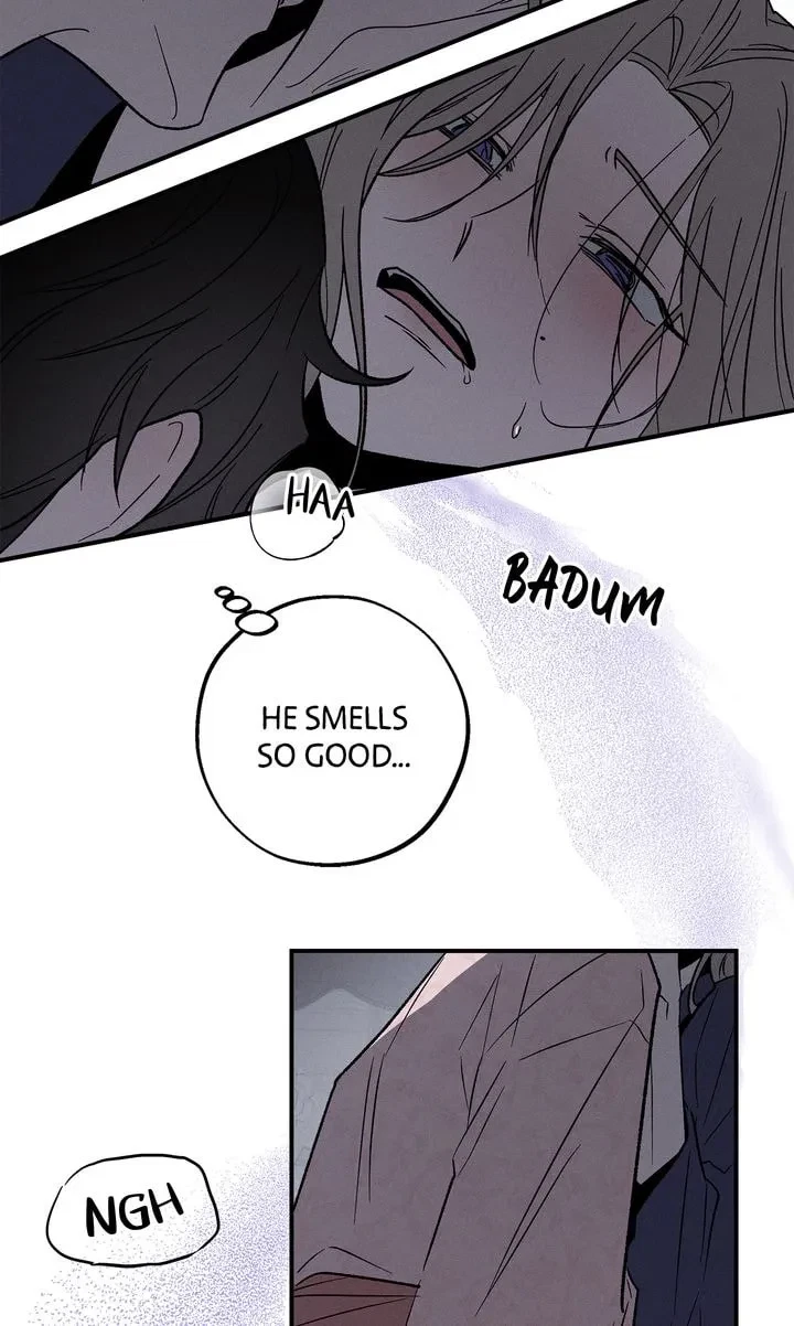Chapter 2, page 27