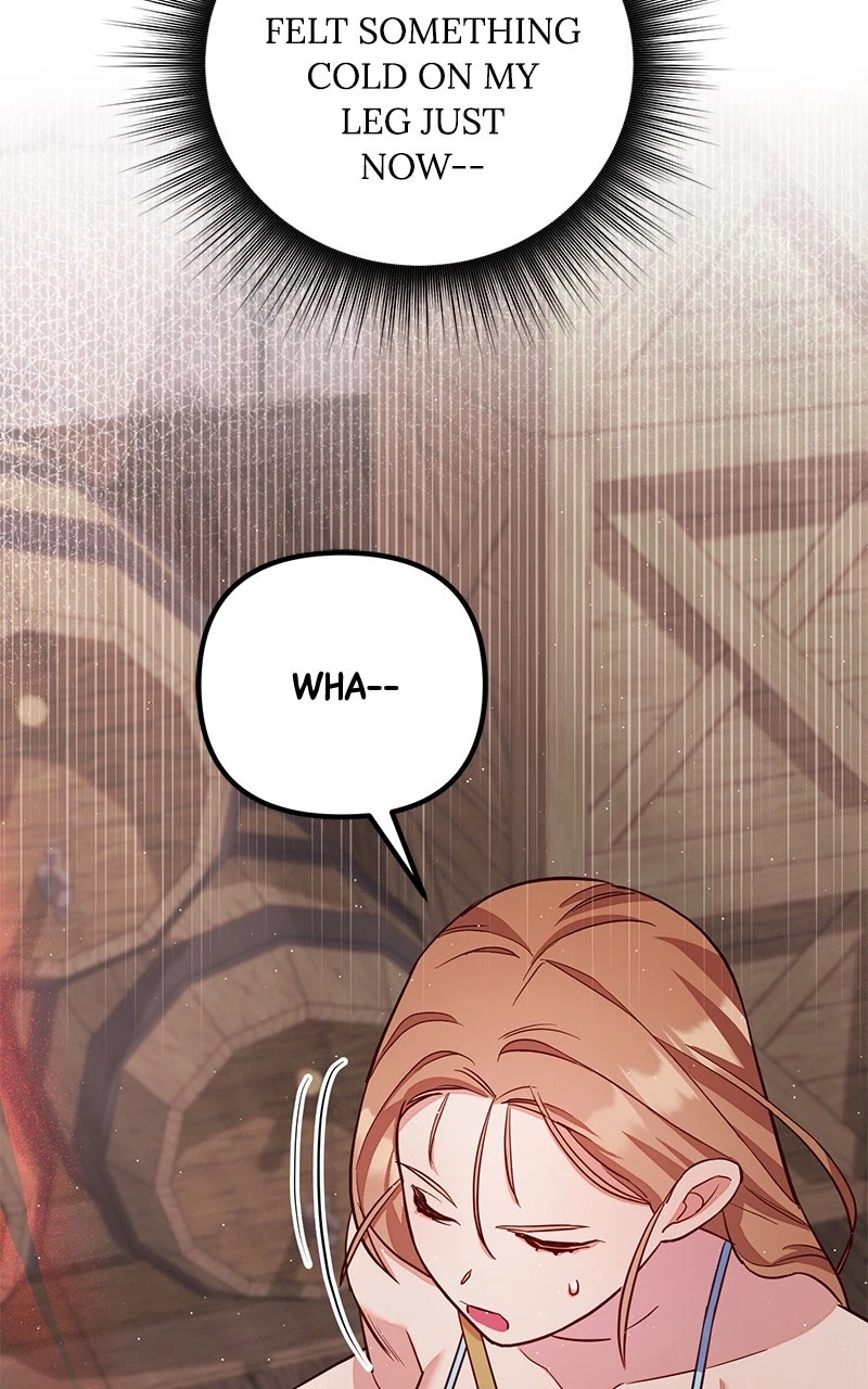 Chapter 2, page 101
