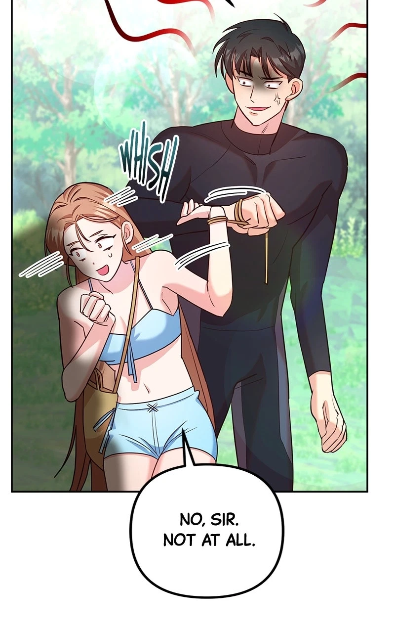 Chapter 2, page 33