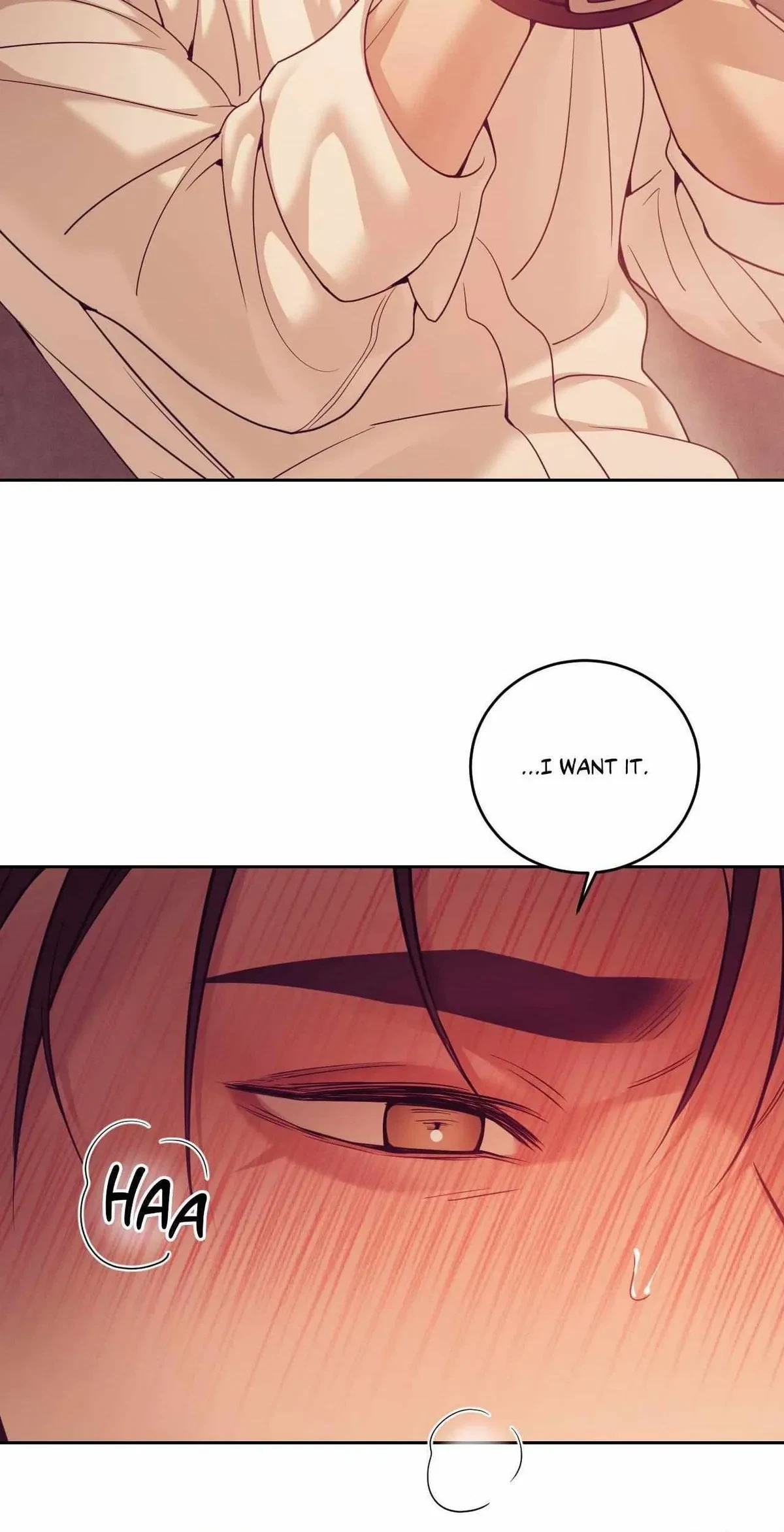 Side. : 10, page 15