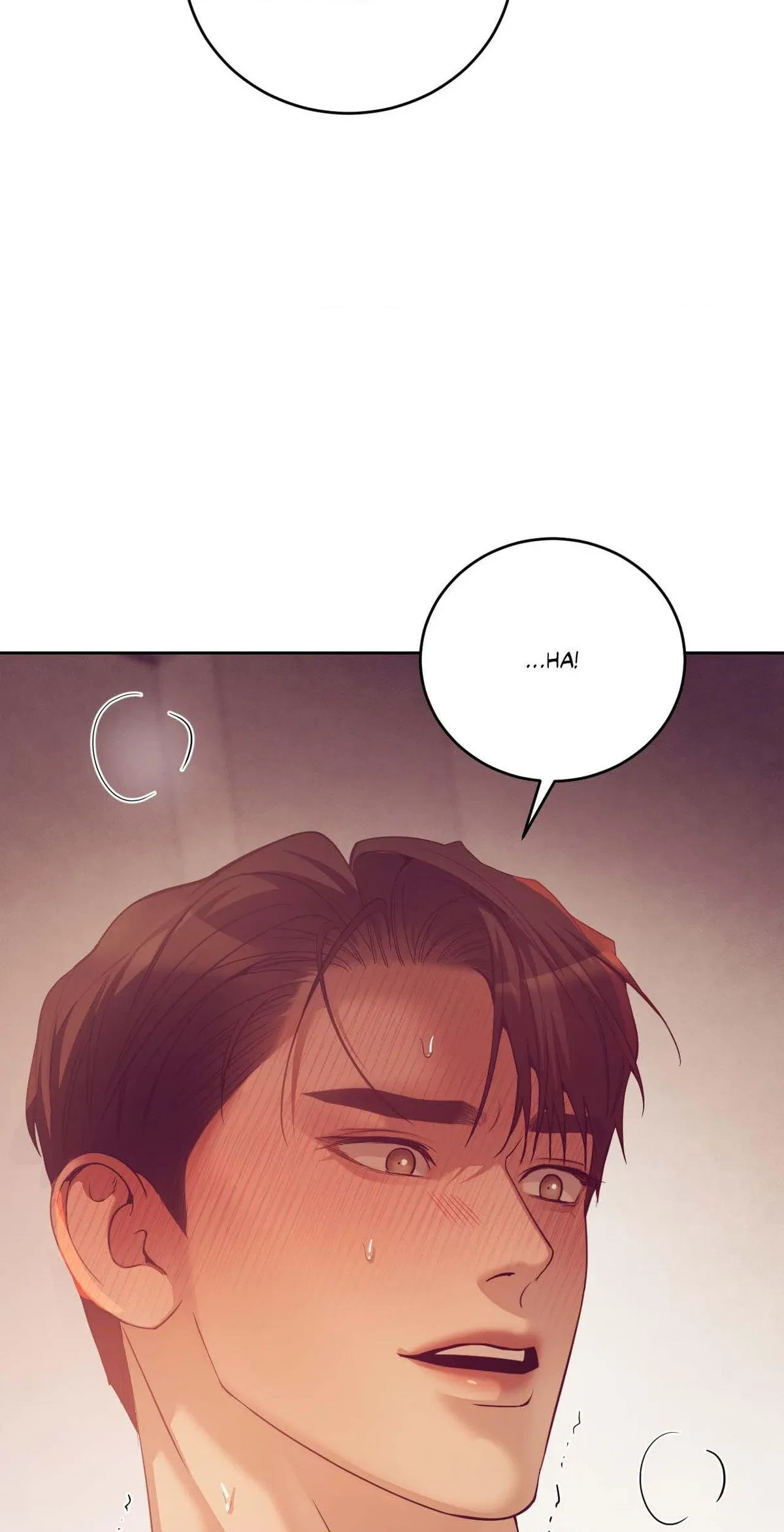 Side. : 10, page 33