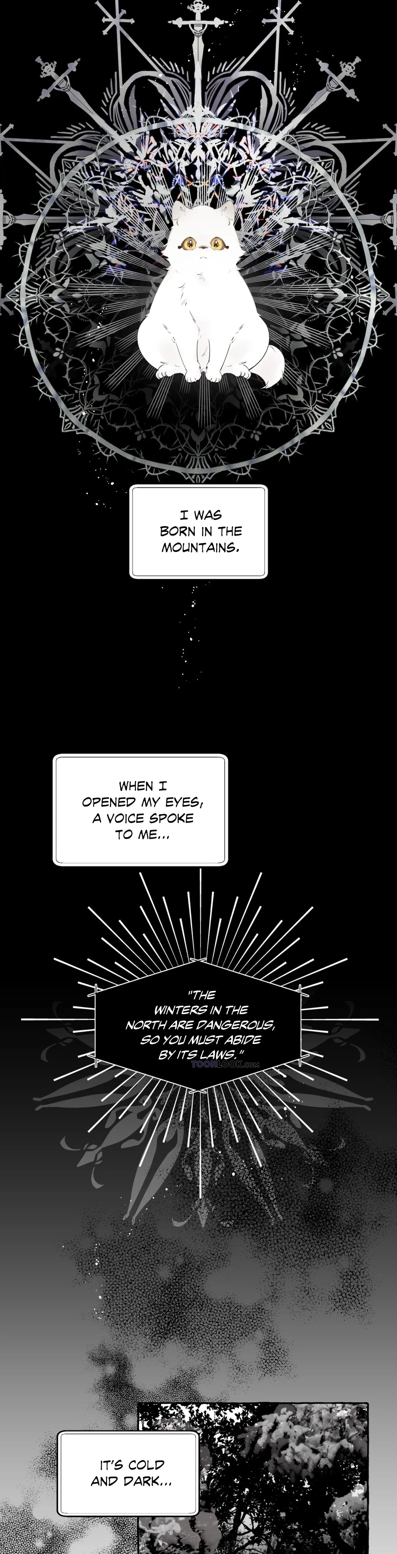 Chapter 5, page 16