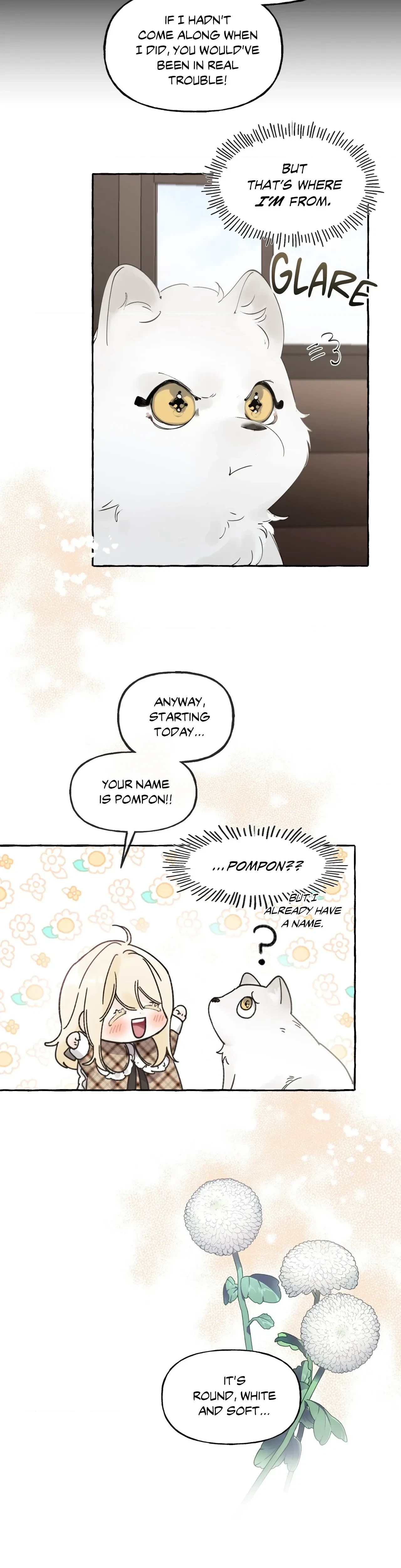 Chapter 5, page 5
