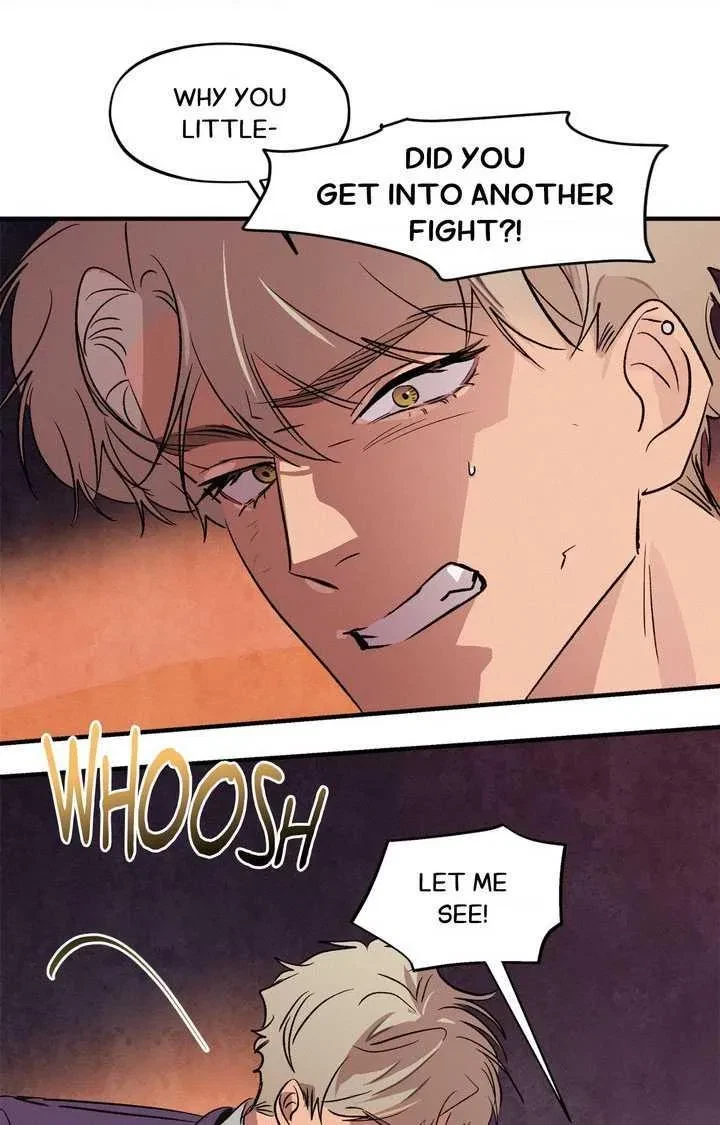 Special. : Fixed, page 41
