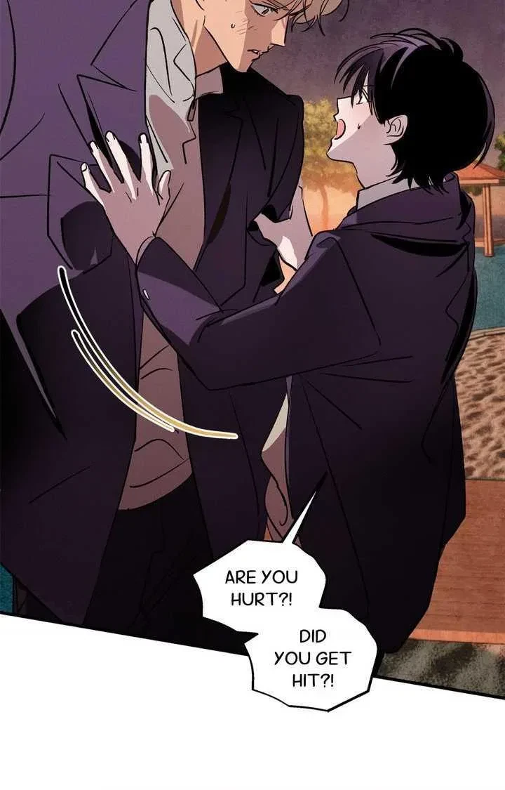 Special. : Fixed, page 42
