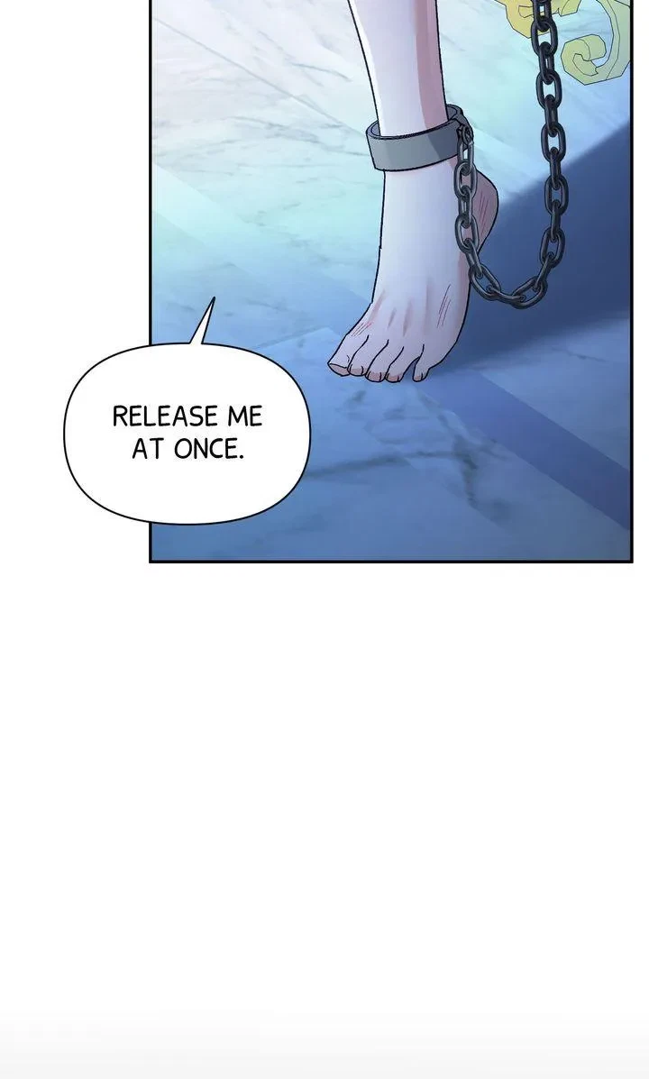 Chapter 2, page 105