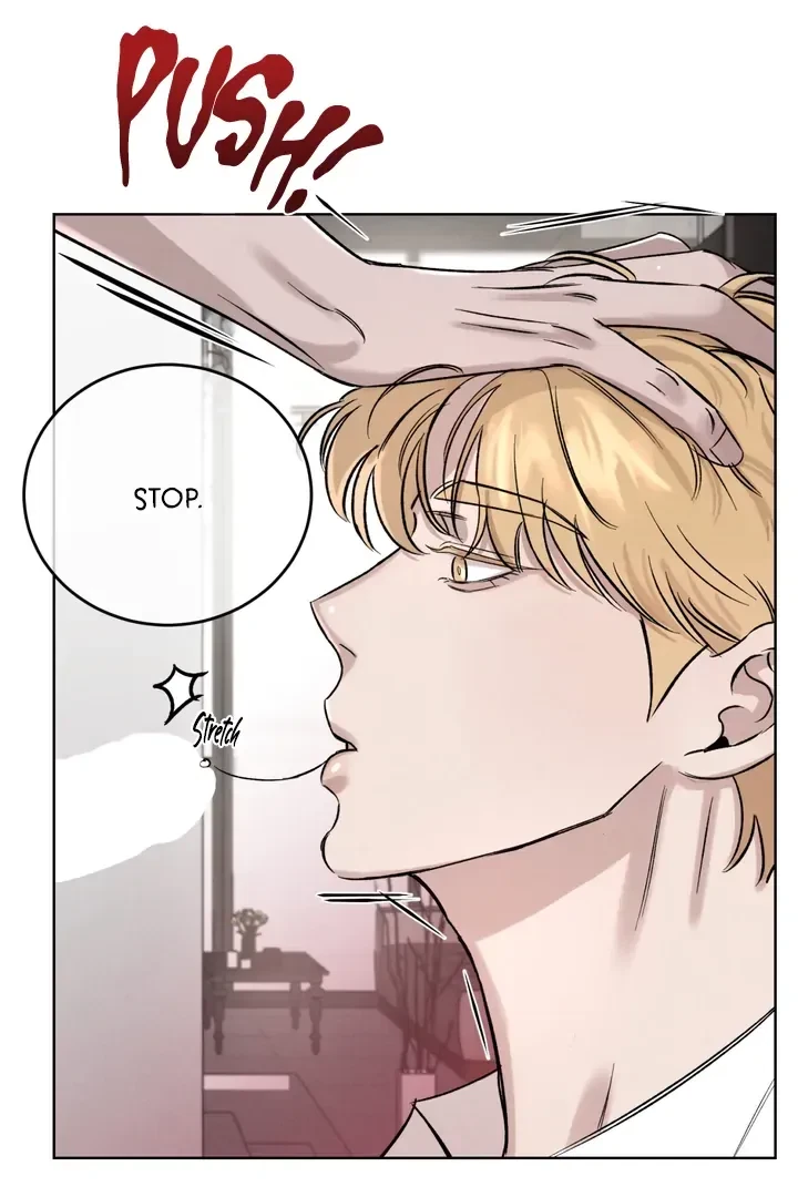 Chapter 3, page 65