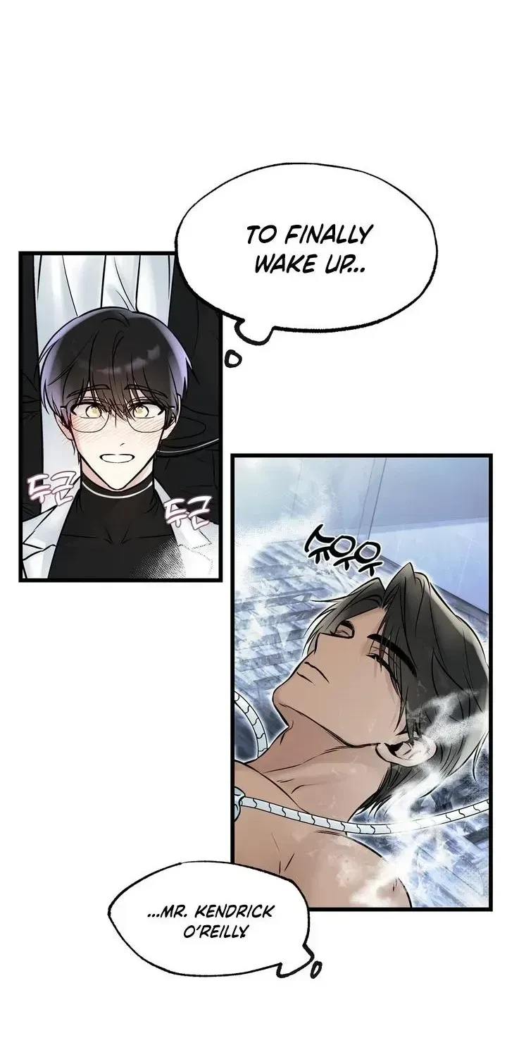 Chapter 1.1, page 17