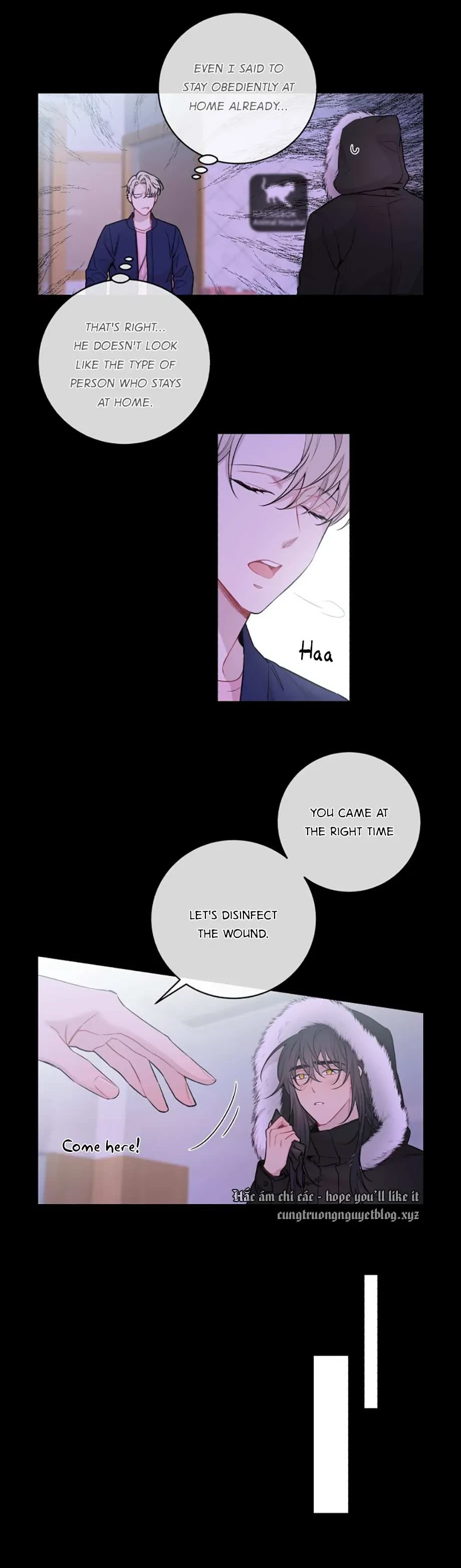 Chapter 4, page 19