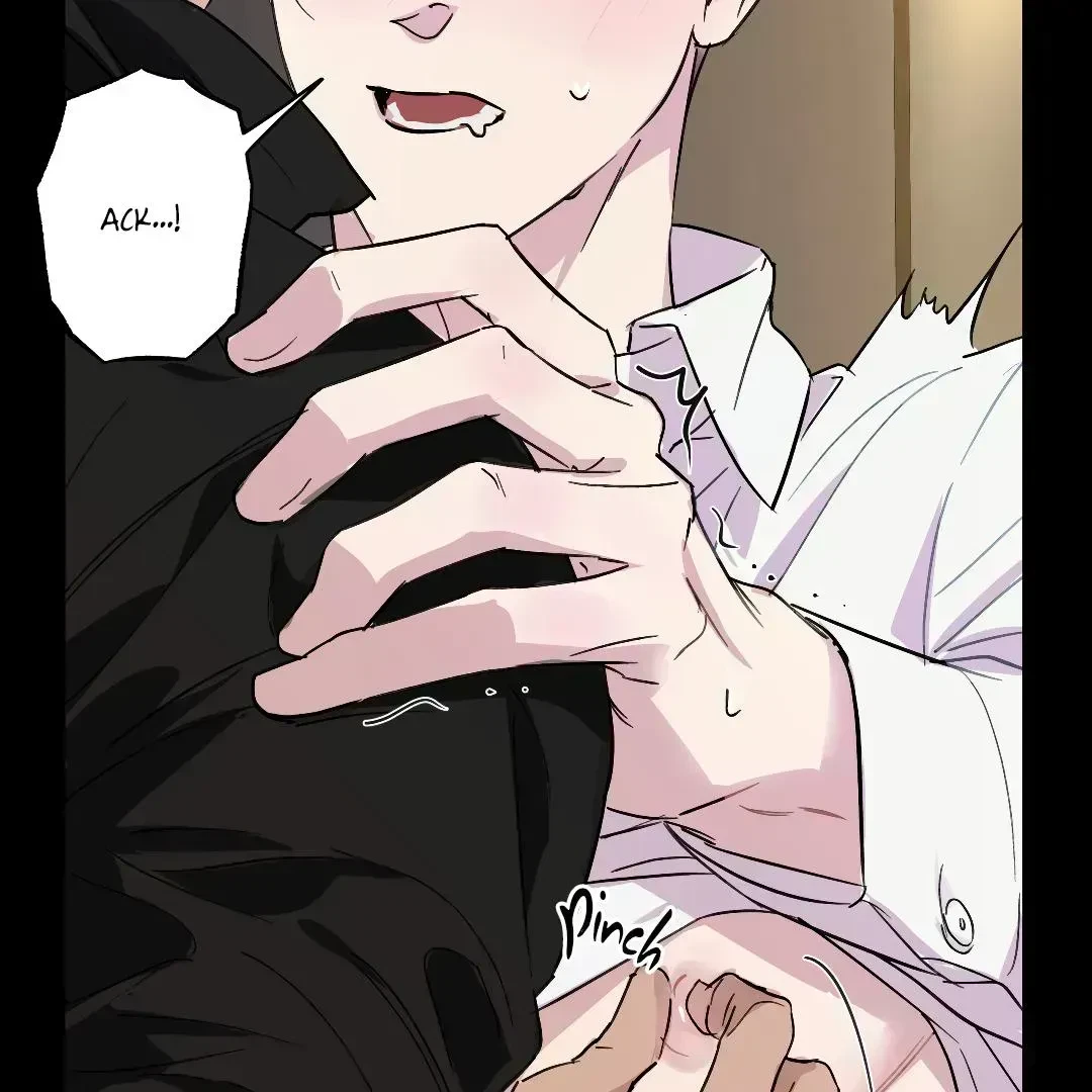 Chapter 2.8, page 15
