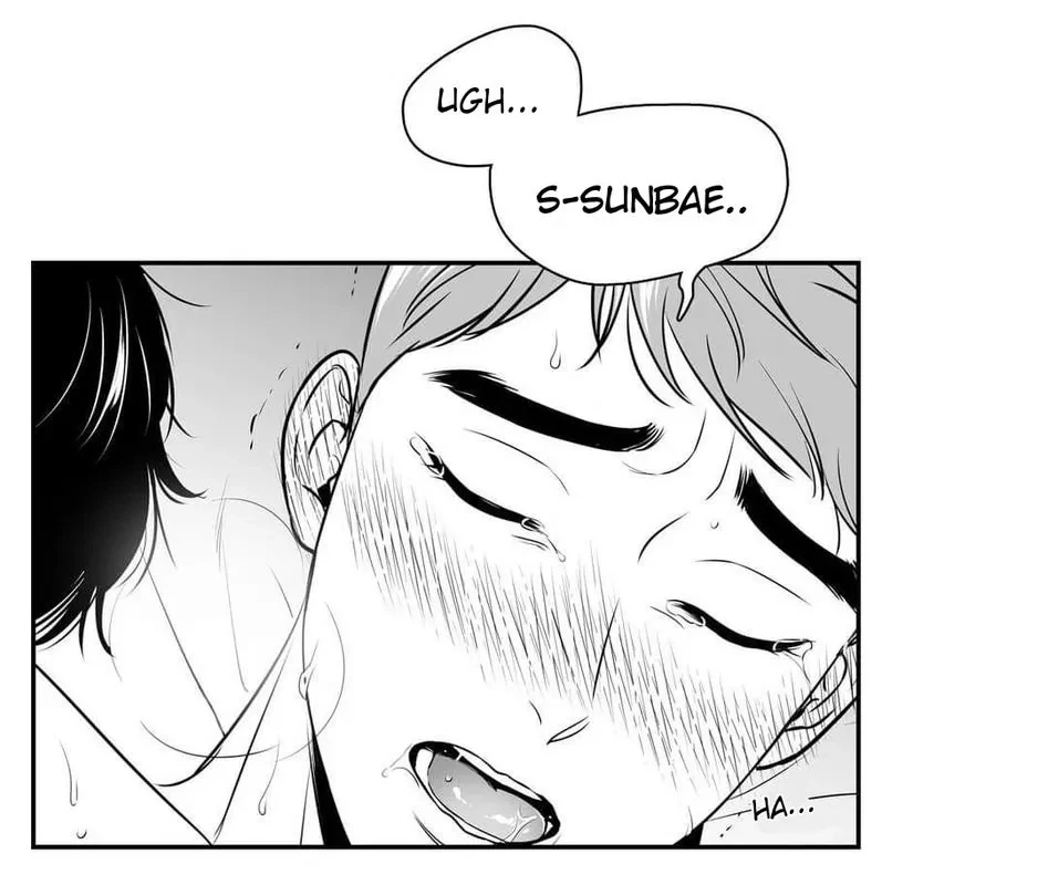 Chapter 63, page 22
