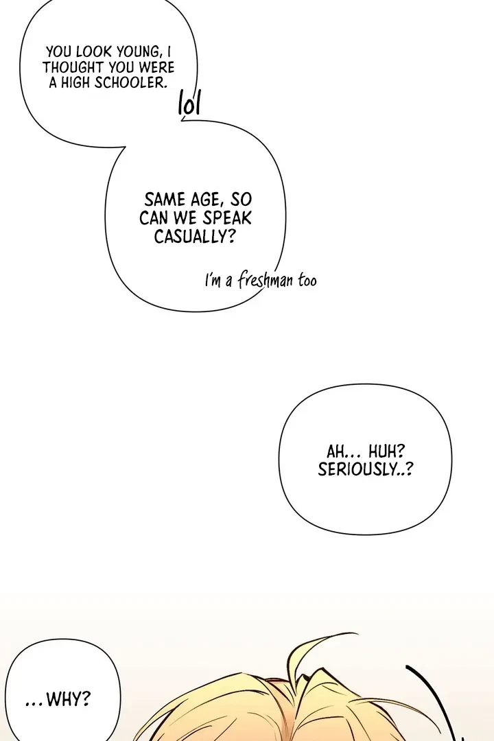 Chapter 1, page 65