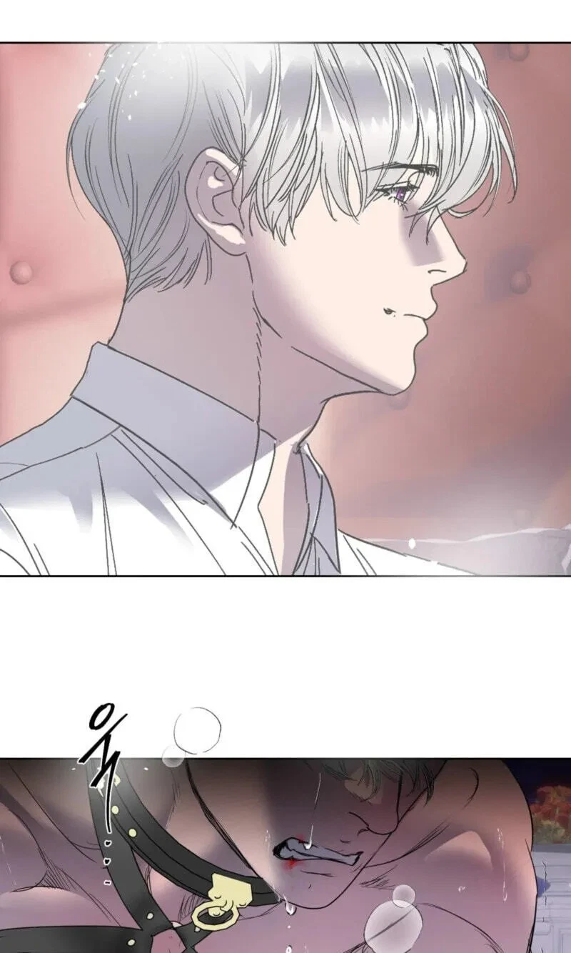 Chapter 41, page 76