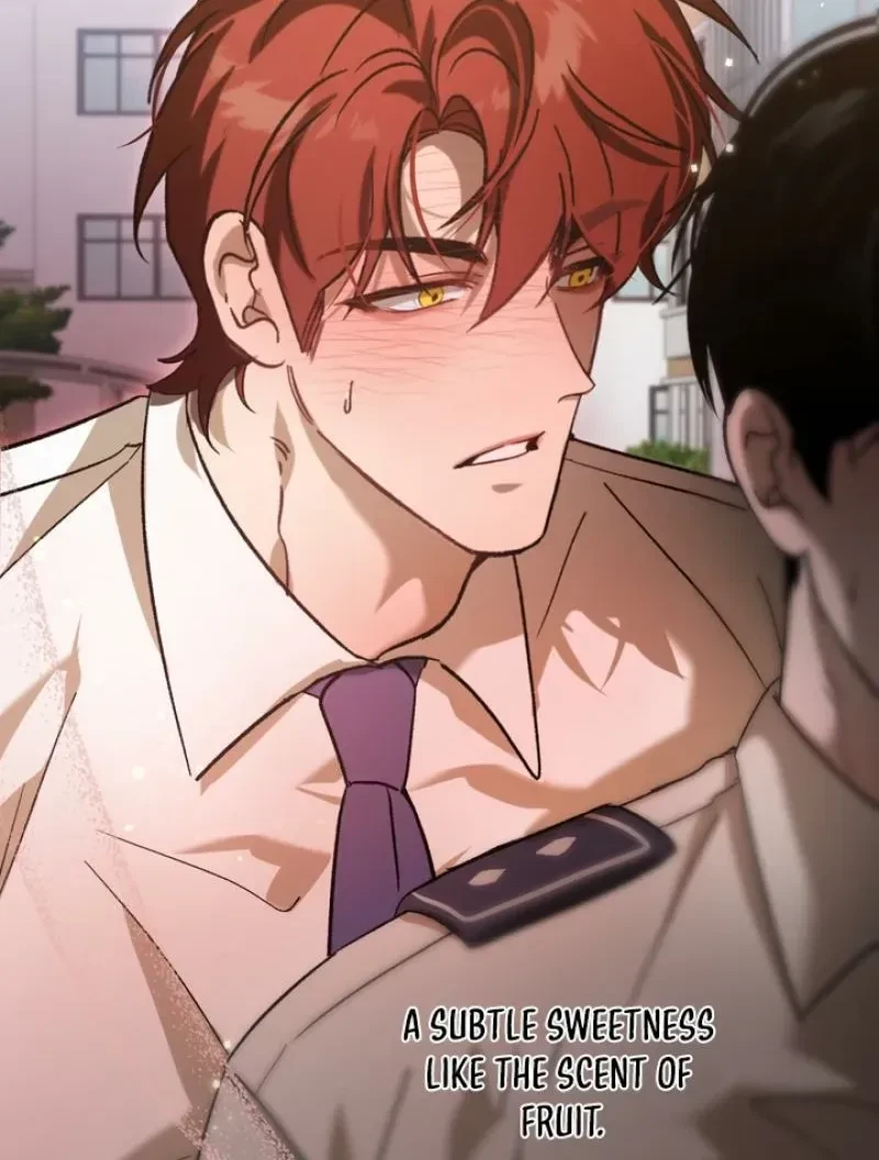 Chapter 3, page 84