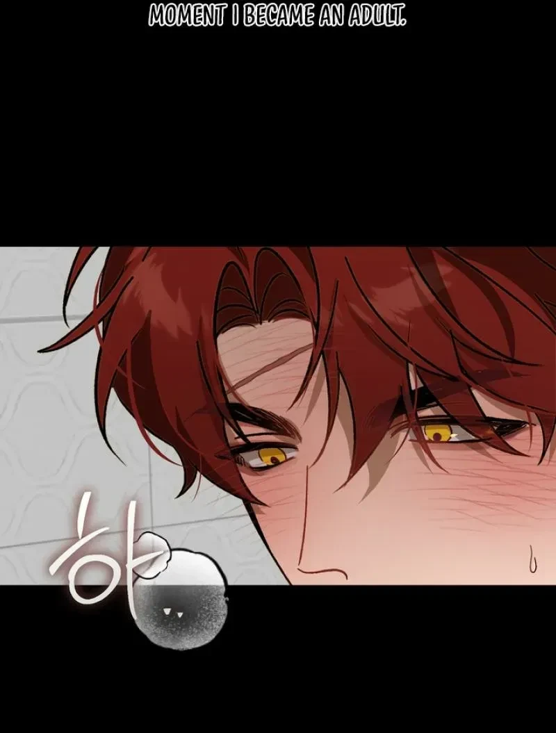 Chapter 3, page 88