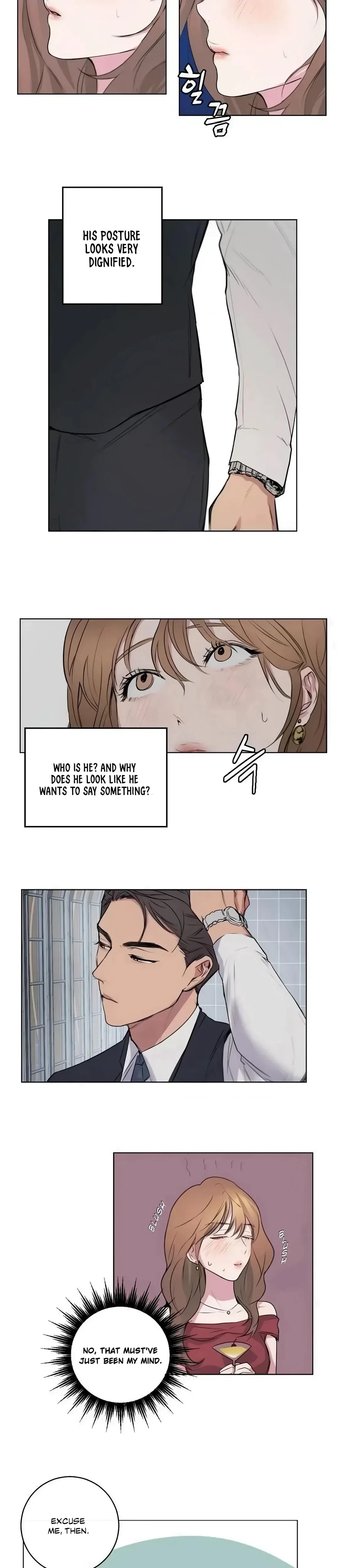 Chapter 1, page 17