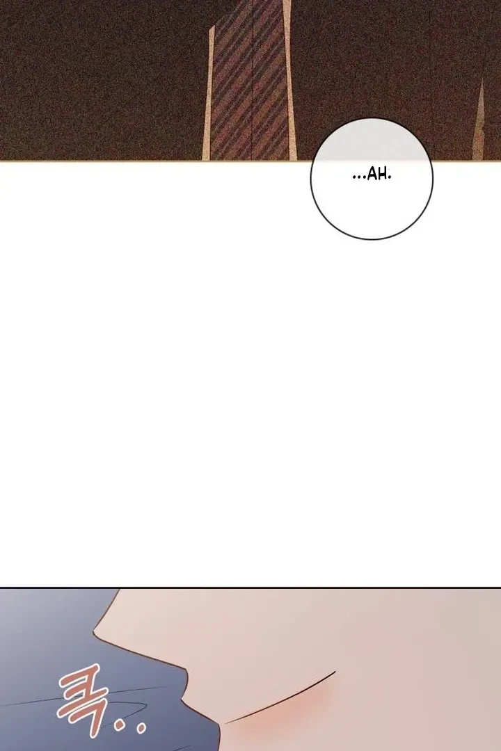 Chapter 17, page 101