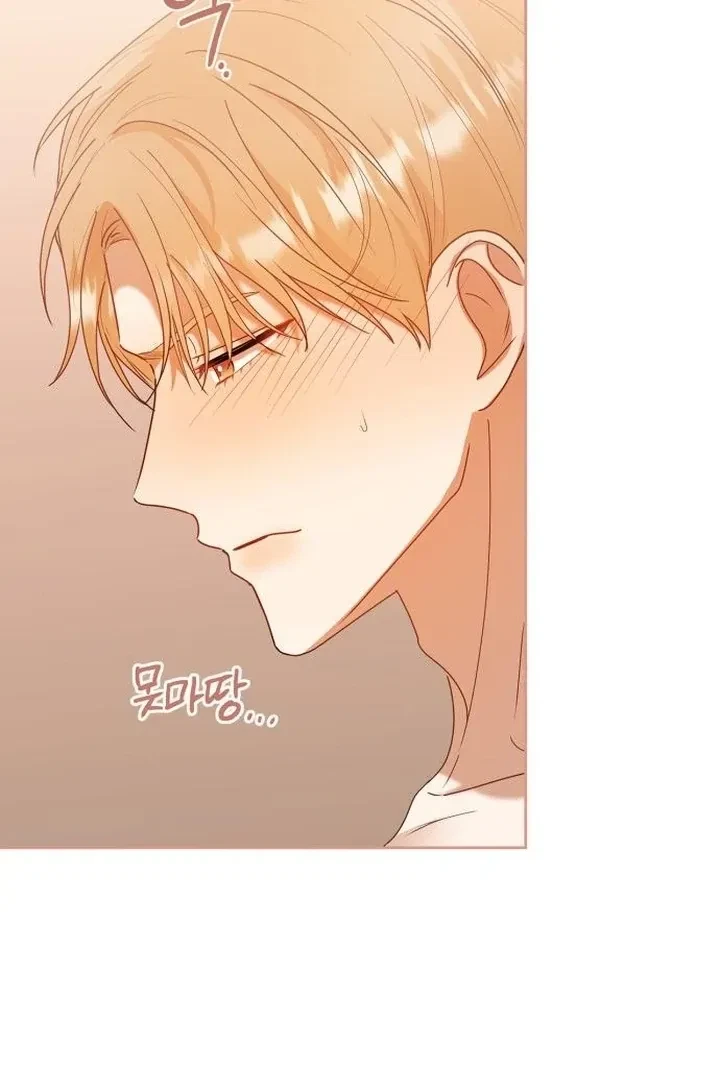 Chapter 17, page 44