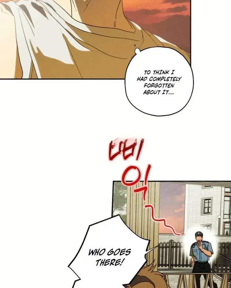 Chapter 3.3, page 39