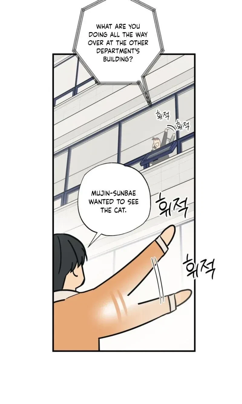 Chapter 16, page 49