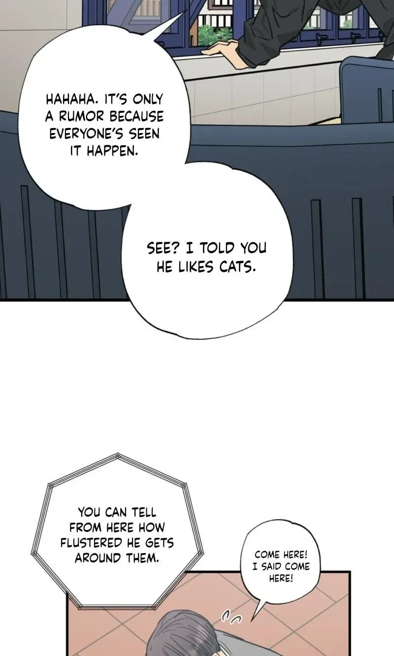 Chapter 16, page 51