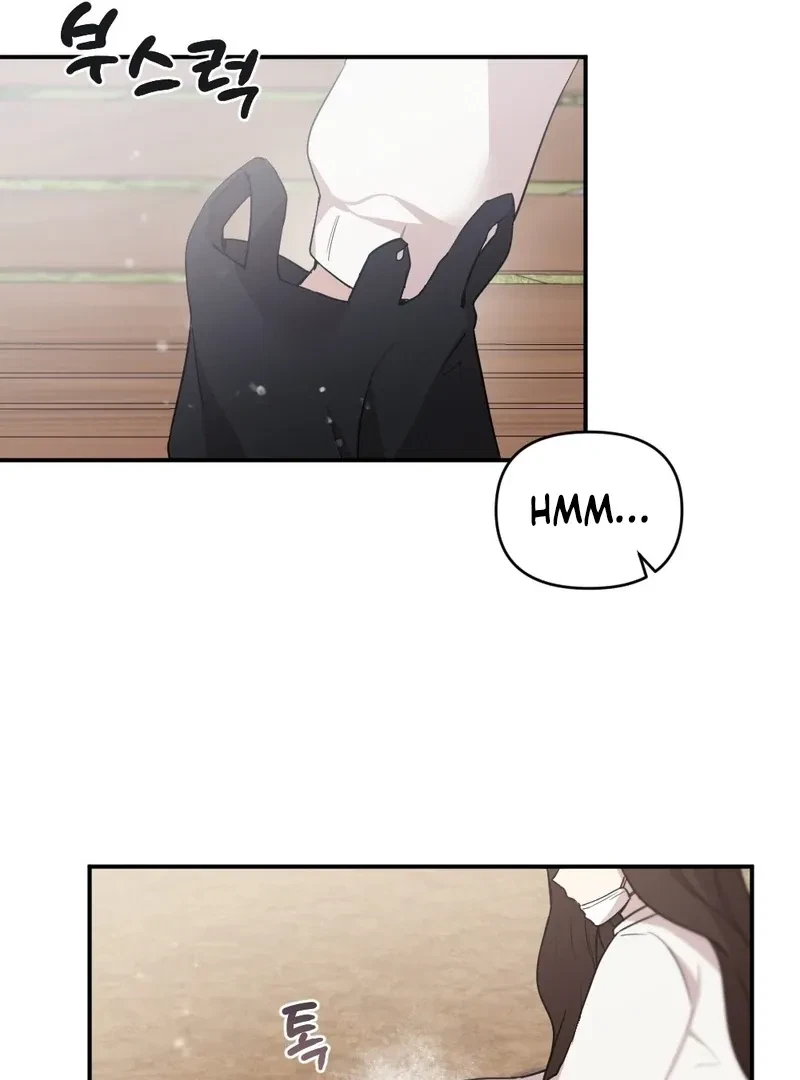 Chapter 2, page 48