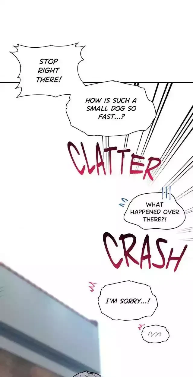 Let Me Be Your Dog Chapter 1, page 9