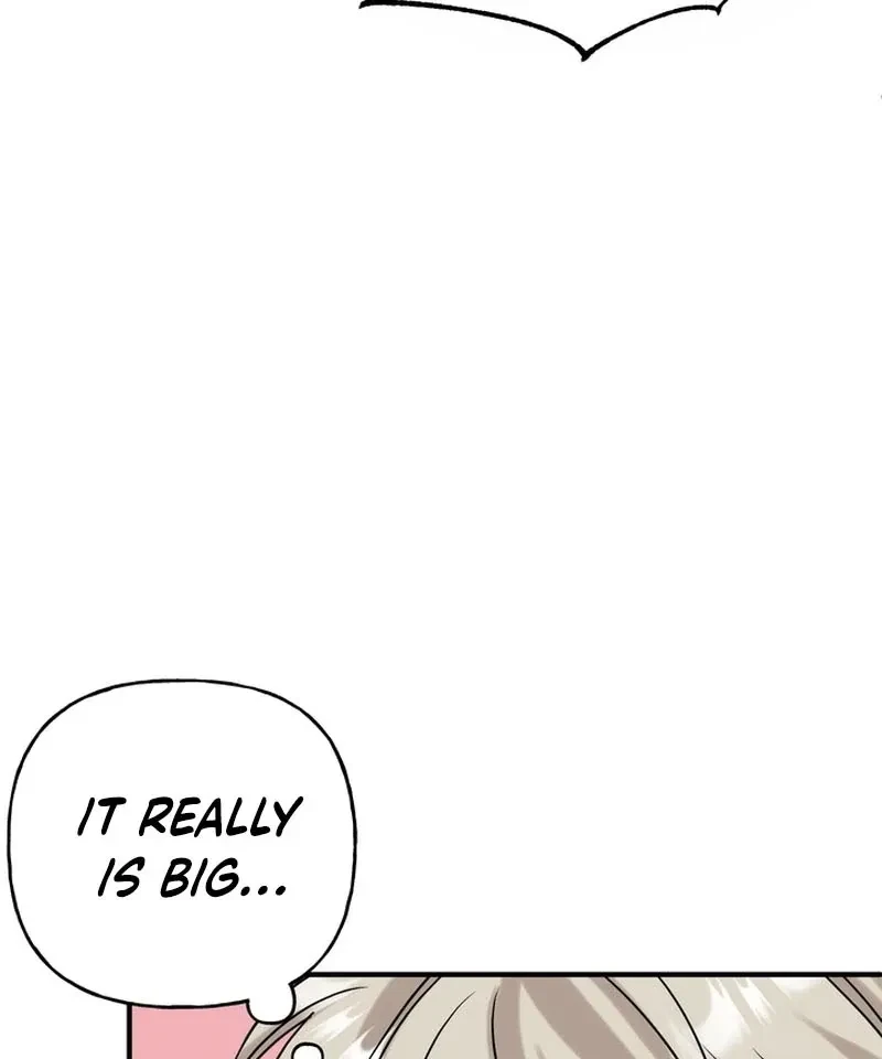 Chapter 1, page 13