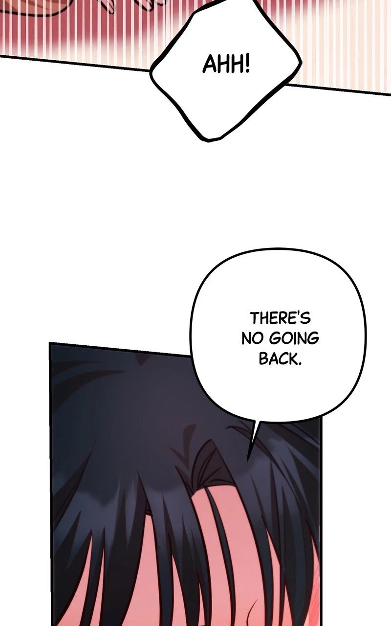 Chapter 4, page 43