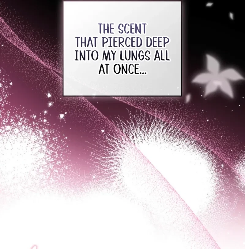 Chapter 5, page 49