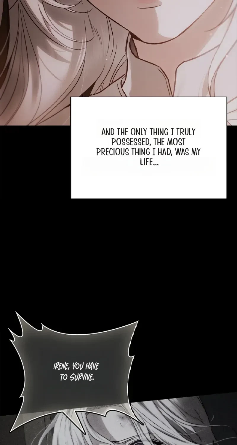 Chapter 3, page 66