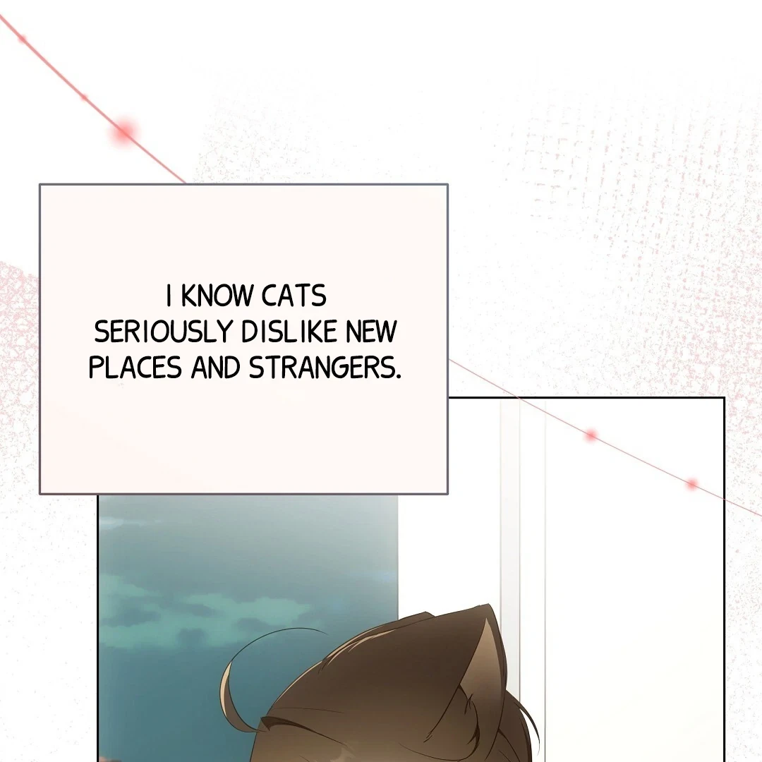 Chapter 9, page 87