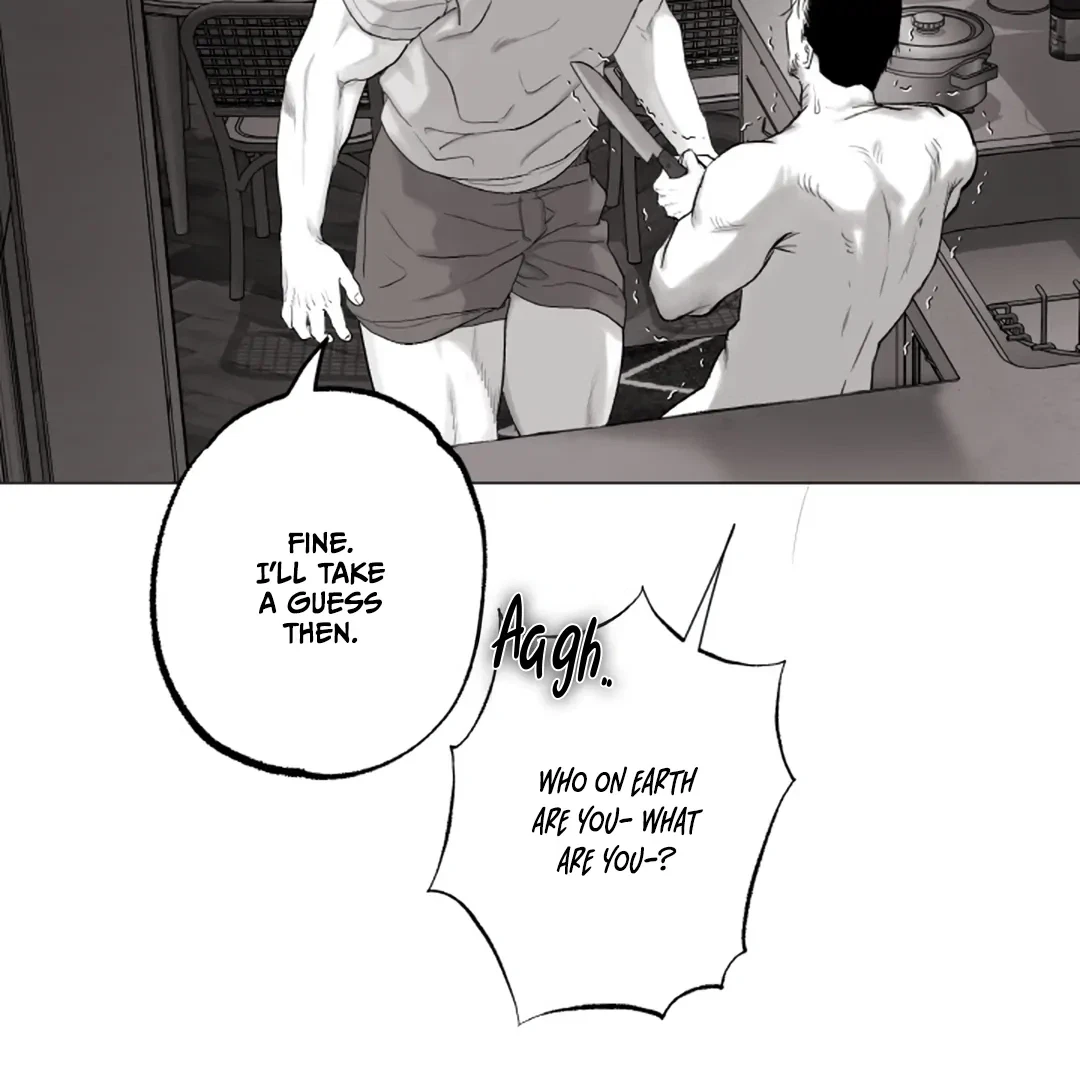Chapter 4, page 19
