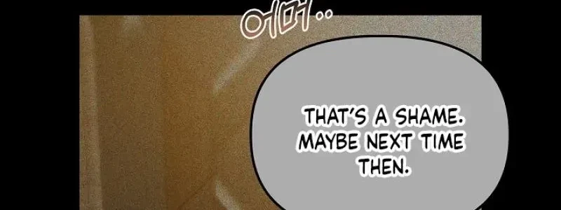Chapter 4, page 19