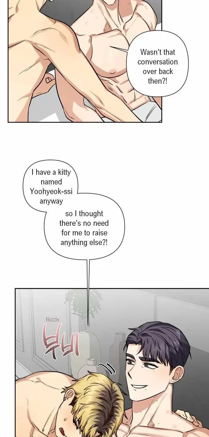 Chapter 3.1, page 46