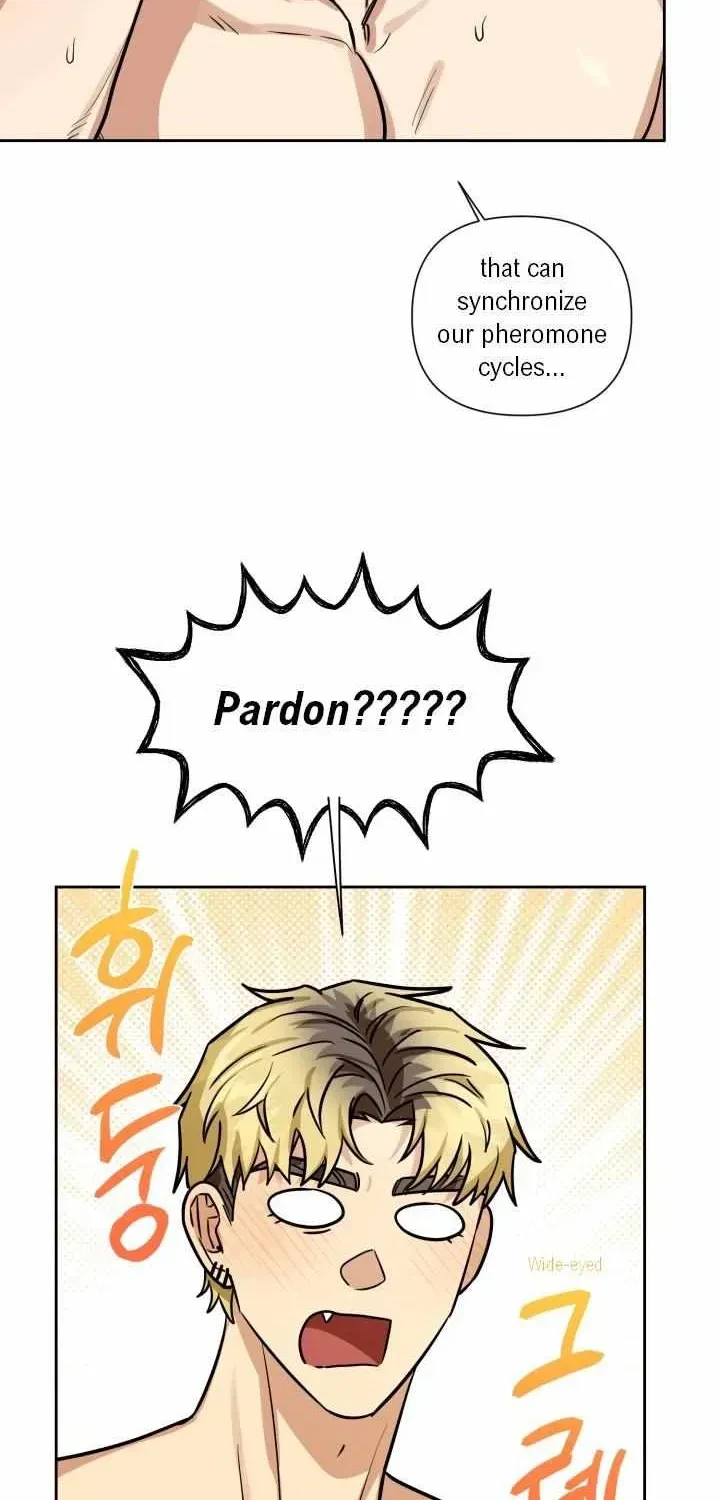 Chapter 3.1, page 52